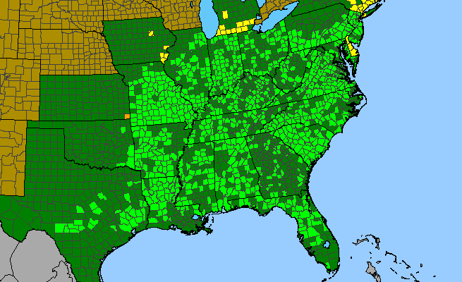 The range of Endodeca serpentaria